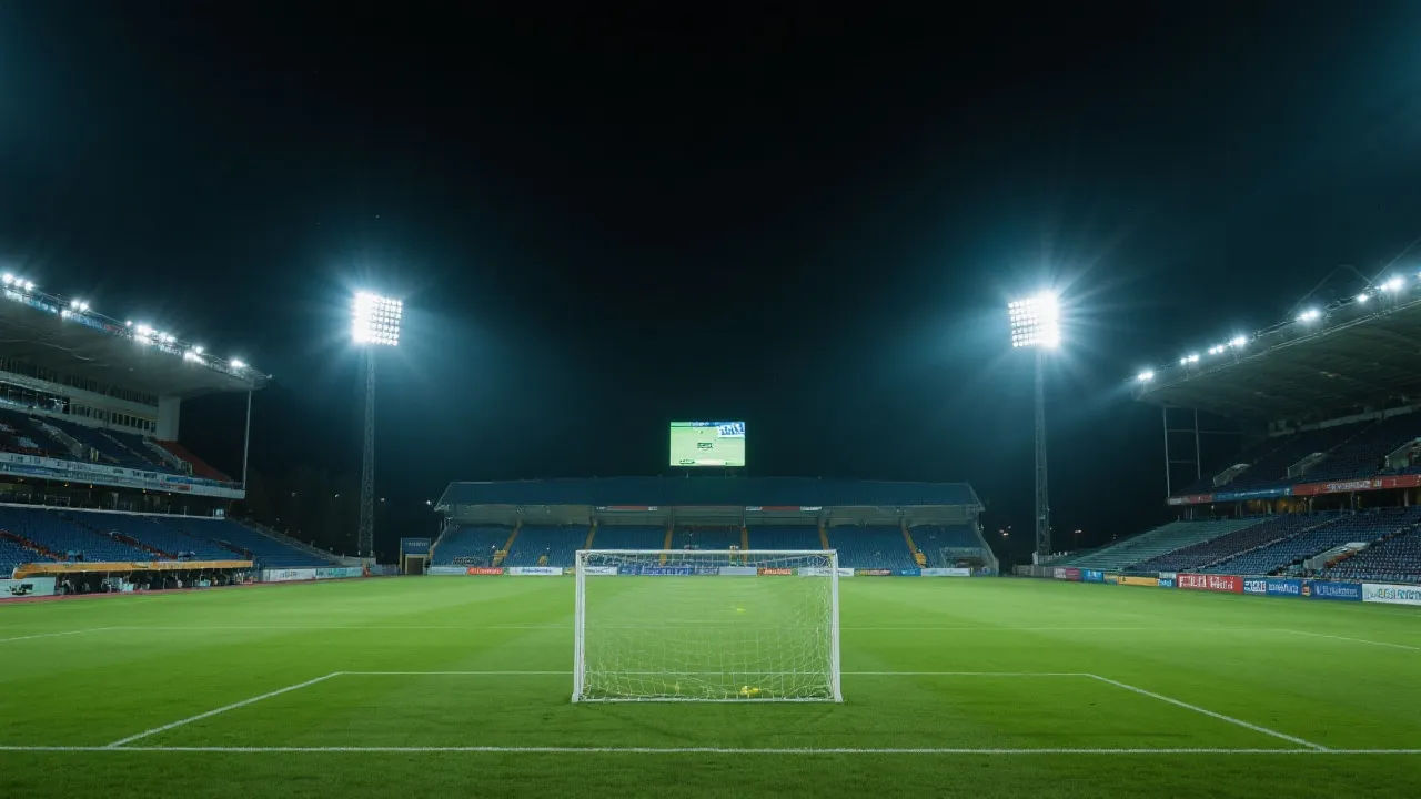 体育场灯光与热烈气氛